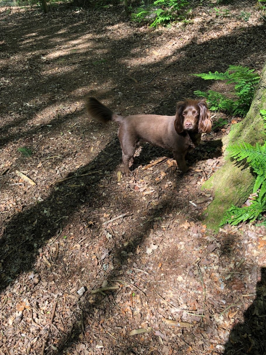 Where did I hide it?